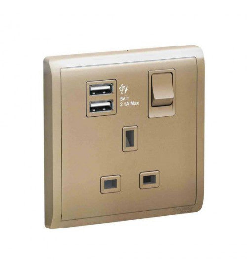 مقبس كهربائي 13A مع USB بتيار 2.1A Schneider Electric E8215USB_WG، 13A
