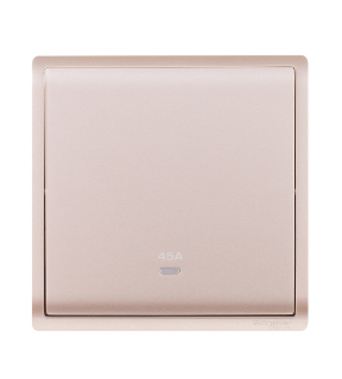 مفتاح كهربائي ثنائي القطب Schneider Electric E8231D45N_WG_G1، 45A