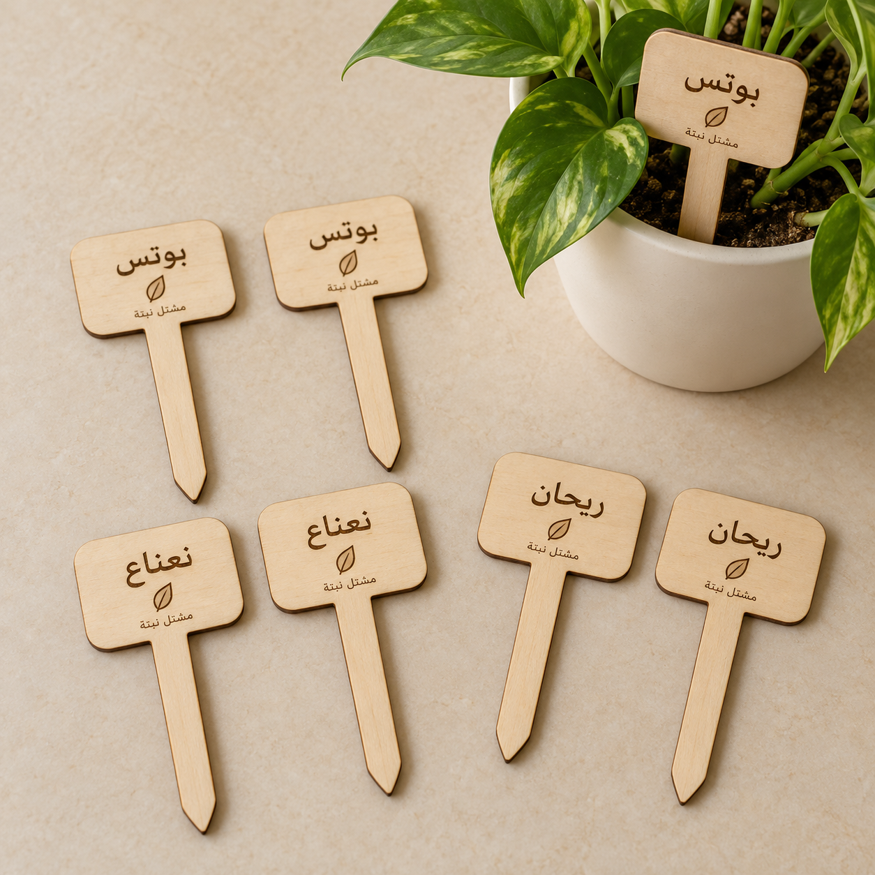علامات أسماء نباتات خشبية بشعار المشتل بالجملة | خشبة